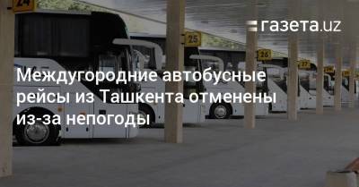 Междугородние автобусные рейсы из Ташкента отменены из-за непогоды