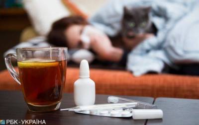 За неделю в Ленобласти госпитализированы 34 человека с ОРВИ и гриппом