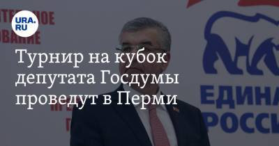 Турнир на кубок депутата Госдумы проведут в Перми. Кубок и медали за счет бюджета