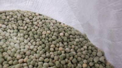На петербургской таможне изъяли 4 тонны семян гороха-нелегала