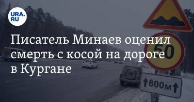 Писатель Минаев оценил смерть с косой на дороге в Кургане. Видео