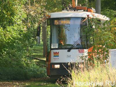 Власти Прикамья на фоне закрытия Горнозаводской ветки решили развивать трамвайные маршруты