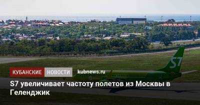S7 увеличивает частоту полетов из Москвы в Геленджик