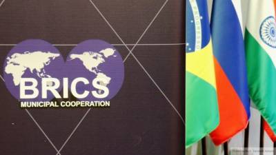 Страны БРИКС оценили важность партнерских связей с странами Африки