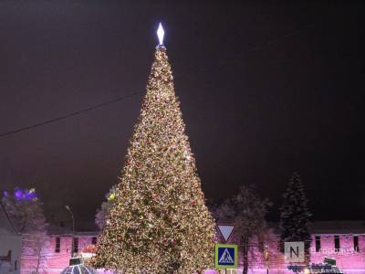 Главную новогоднюю елку в Нижнем Новгороде смонтируют к 20 декабря