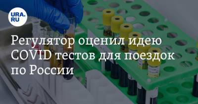 Регулятор оценил идею COVID тестов для поездок по России. Позиция свердловского Роспотребнадзора