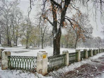 В некоторых областях Украины уже намело 8 см снега (КАРТА, ФОТО)