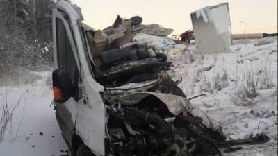 В ДТП с грузовиками в Тюменской области погиб человек