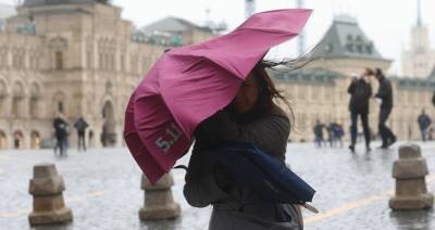 Ветреная погода в Москве сохранится до конца недели