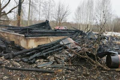В Тверской области на пожаре погиб молодой мужчина