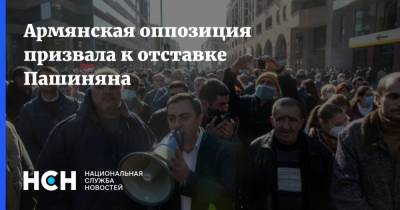 Армянская оппозиция призвала к отставке Пашиняна