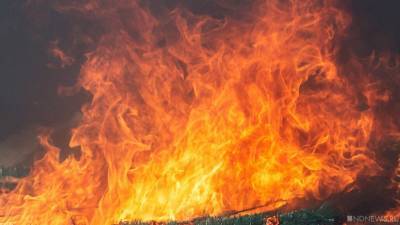На пожаре в Рязанской области погибла семья из 4 человек