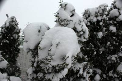 В Украине выпало до 8 сантиметров снега: в каких областях