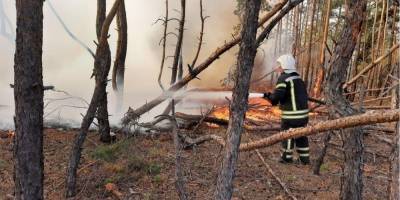 В ГБР назвали главную причину масштабных пожаров в Луганской области