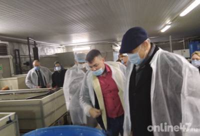 Рыбы много не бывает: Александру Дрозденко показали молодую акваферму в Гатчинском районе