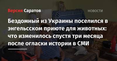 Бездомный из Украины поселился в энгельсском приюте для животных: что изменилось спустя три месяца после огласки истории в СМИ