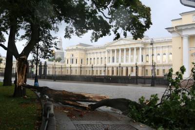 Парки и скверы Петербурга временно закрыли для посетителей