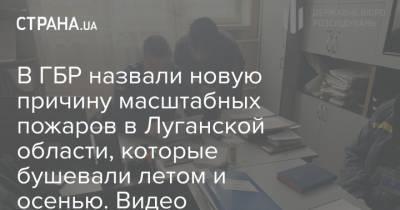 В ГБР назвали новую причину масштабных пожаров в Луганской области, которые бушевали летом и осенью. Видео