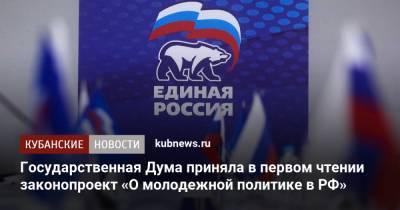 Государственная Дума приняла в первом чтении законопроект «О молодежной политике в РФ»