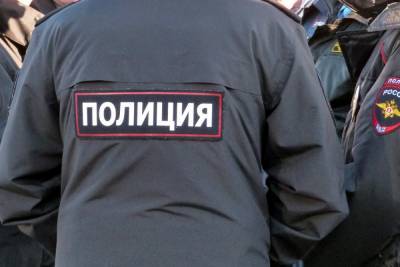 Полиция проводит проверку из-за порванного портрета Владимира Путина в МО «Смольнинское»