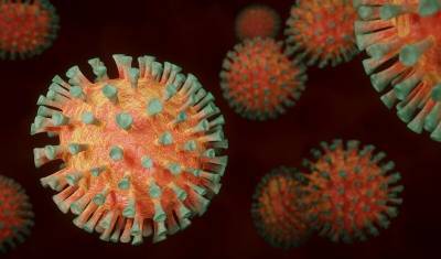 Минздрав Башкирии назвал районы с наибольшим числом заболевших коронавирусом