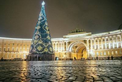 Елку для Дворцовой площади Петербурга нашли в Ленобласти