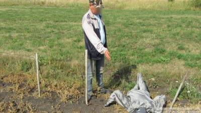 Электропастух убил пьяного мужчину в Мордовии