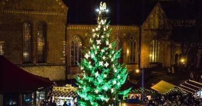 Выбраны три рождественские елки для площадей Риги: деревьям по 30 лет, высота 15 метров