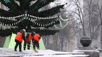 В Рязанской области отменили новогодние елки и корпоративы на фоне пандемии