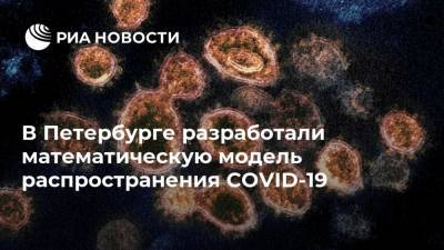 В Петербурге разработали математическую модель распространения COVID-19