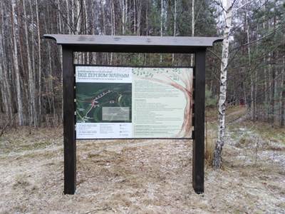 Новый экологический маршрут открылся в природном парке «Воскресенское Поветлужье»