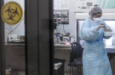 Власти Дании заявили об исчезновении обнаруженного у норок вируса