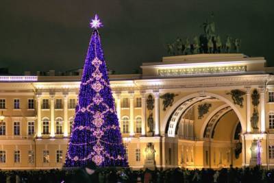 В Петербурге выбрали главную новогоднюю елку: наконец она будет живая