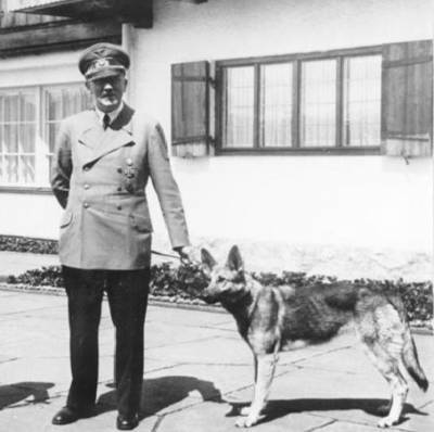 «Спецшкола дрессировки Гитлера»: зачем нацисты научили говорить собак