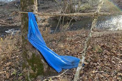 Девятилетний ребенок пропал и провел две ночи в лесу без ботинок и куртки