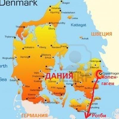Обнаруженный у норок в Дании мутировавший коронавирус, скорее всего, исчез