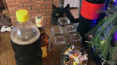 Южноуральцам придется развлекать и кормить себя в новогодние праздники самостоятельно: губернатор ввел дополнительные ограничения