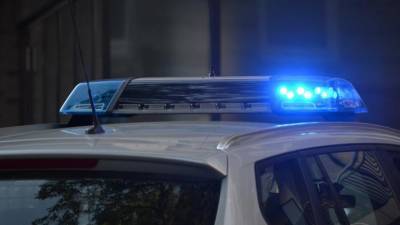 Полиция проводит проверку после сообщения о краже человека в Невском районе