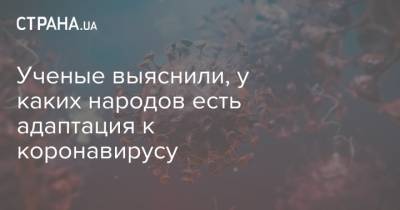 Ученые выяснили, у каких народов есть адаптация к коронавирусу