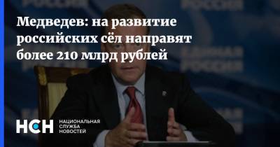 Медведев: на развитие российских сёл направят более 210 млрд рублей
