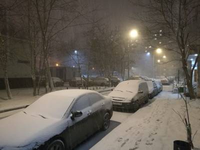 Метеорологи рассказали, когда Москву засыпет снегом