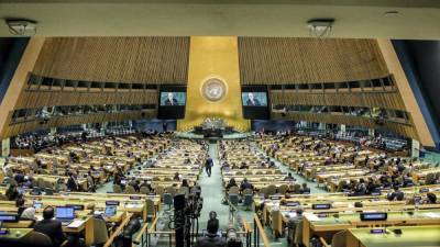 Украина в ООН не поддержала российскую резолюцию против нацизма: причины и детали