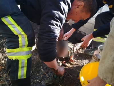 Под Днепром однолетний малыш упал в выгребную яму
