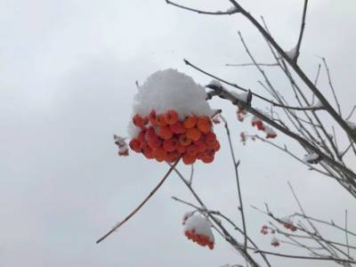 Перепады температур, ледяной дождь и гололёд: Синоптики дали прогноз погоды на ближайшие выходные в Башкирии