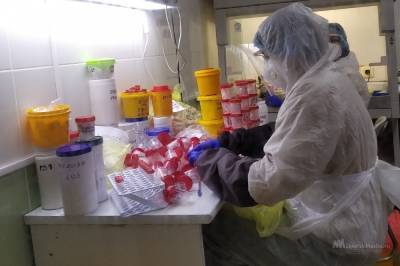 До трех тысяч исследований в сутки увеличены объемы тестирования на COVID-19 в Липецкой области