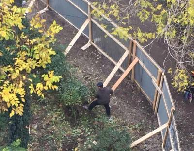Продолжение следует: в Одессе на Академической пилят деревья и копают фундамент под незаконную пристройку (фото) (видео)