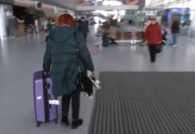 Разбирайте чемоданы: продлен запрет на международные авиарейсы, названа страна
