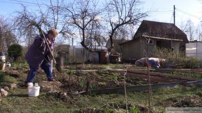 Две уроженки Курской области выживают соседей с помощью фекалий