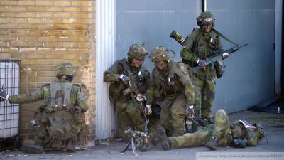 Спецназ Швеции и США готовится к совместному отражению «российской угрозы»