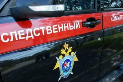 В Архангельске возбуждено уголовное дело по факту смерти школьника